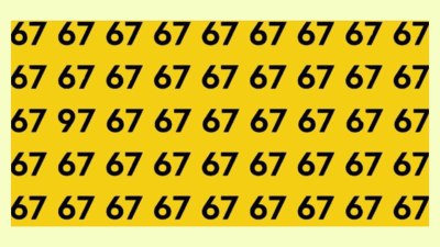 Optical Illusion: Only a real math genius can spot the number 97 among 67s | Optical Illusion: Only a real math genius can spot the number 97 among 67s |