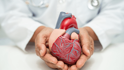 4 everyday habits that help prevent heart attacks 4 everyday habits that help prevent heart attacks