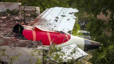 Indian-American professor slammed for blaming ‘reservation’ for Air India crash: ‘Freeloaders are more important’ Indian-American professor slammed for blaming ‘reservation’ for Air India crash: ‘Freeloaders are more important’