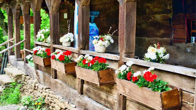 10 creative planter ideas to add a unique touch to your garden | 10 creative planter ideas to add a unique touch to your garden |