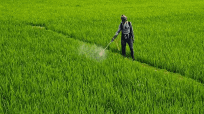 Agrochem market may hit .5 bn by FY28; herbicide exports jump; sector set for 9% CAGR: Report Agrochem market may hit .5 bn by FY28; herbicide exports jump; sector set for 9% CAGR: Report