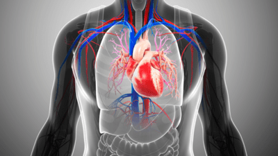 Strengthen the heart naturally: 5 tips that actually work Strengthen the heart naturally: 5 tips that actually work
