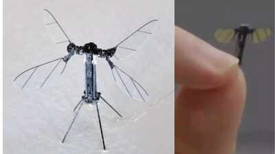 What is China’s mosquito drone? Capable of capturing images, audio & electronic signals – Details What is China’s mosquito drone? Capable of capturing images, audio & electronic signals – Details
