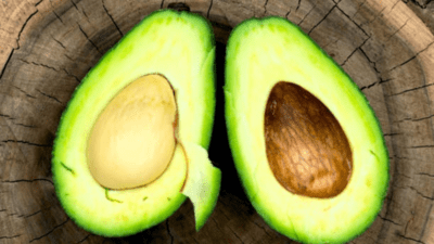 Can avocados harm your kidneys? Facts, myths, and a whole lot of confusion Can avocados harm your kidneys? Facts, myths, and a whole lot of confusion