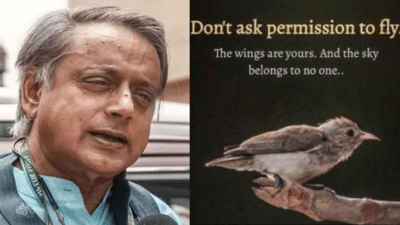 ‘If there are issues … ‘: Shashi Tharoor reacts to his cryptic bird post- watch | India News ‘If there are issues … ‘: Shashi Tharoor reacts to his cryptic bird post- watch | India News