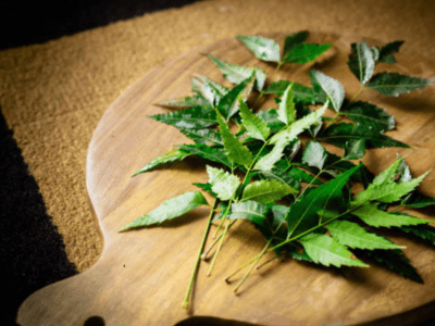 Why neem is the skincare hero you didn’t know you needed Why neem is the skincare hero you didn’t know you needed