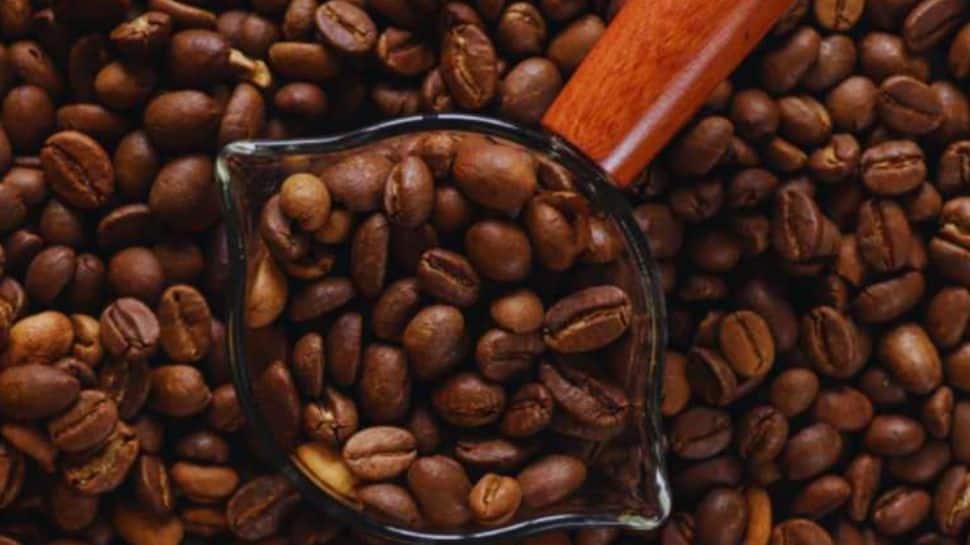 India’s Coffee Exports More Than Double In Last 11 Years | Economy News India’s Coffee Exports More Than Double In Last 11 Years | Economy News