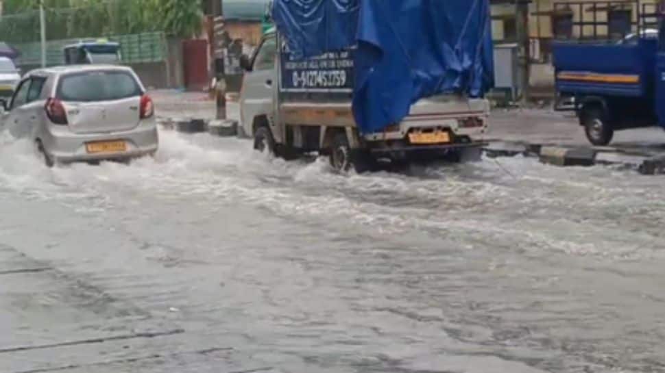 Rain Triggers Inflows In 206 Dams In Gujarat; 8 Overflowing, 14 On High Alert | India News Rain Triggers Inflows In 206 Dams In Gujarat; 8 Overflowing, 14 On High Alert | India News