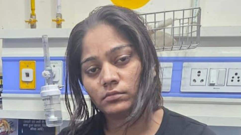 Raja Raghuvanshi Murder: Meghalaya Police Recover Country-Made Gun From Indore | India News Raja Raghuvanshi Murder: Meghalaya Police Recover Country-Made Gun From Indore | India News