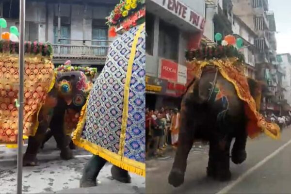 Rath Yatra Procession Disrupted As Elephant Goes Berserk In Ahmedabad | Video | India News Rath Yatra Procession Disrupted As Elephant Goes Berserk In Ahmedabad | Video | India News