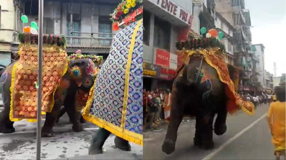 Rath Yatra Procession Disrupted As Elephant Goes Berserk In Ahmedabad | Video | India News Rath Yatra Procession Disrupted As Elephant Goes Berserk In Ahmedabad | Video | India News