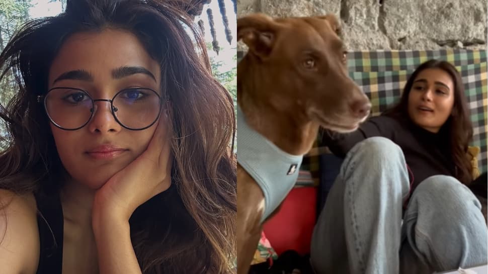 Shalini Pandey Pens Heartfelt Tribute To Manali After Wrapping ‘Rahu Ketu’ Shoot | People News Shalini Pandey Pens Heartfelt Tribute To Manali After Wrapping ‘Rahu Ketu’ Shoot | People News