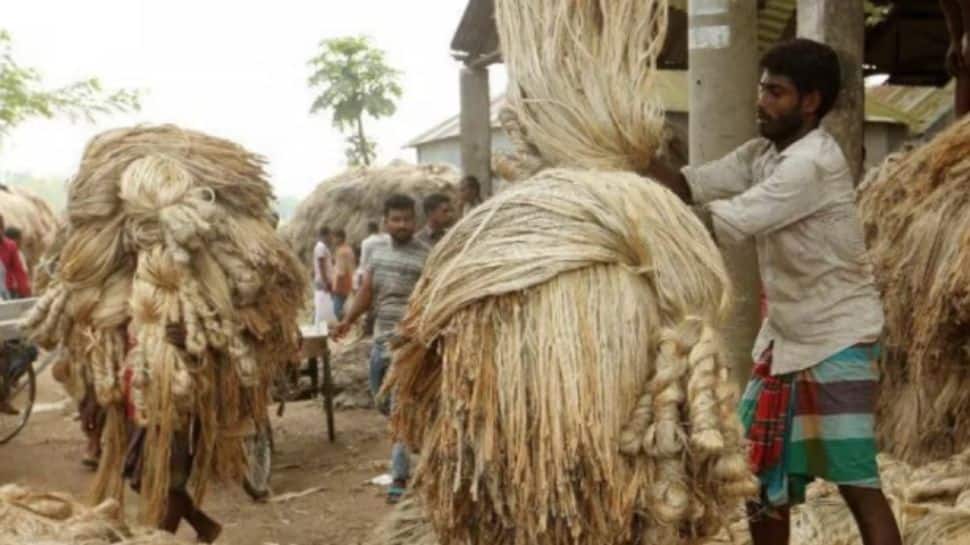 India Restricts Imports Of Jute, Its Derivatives From Bangladesh | Economy News India Restricts Imports Of Jute, Its Derivatives From Bangladesh | Economy News