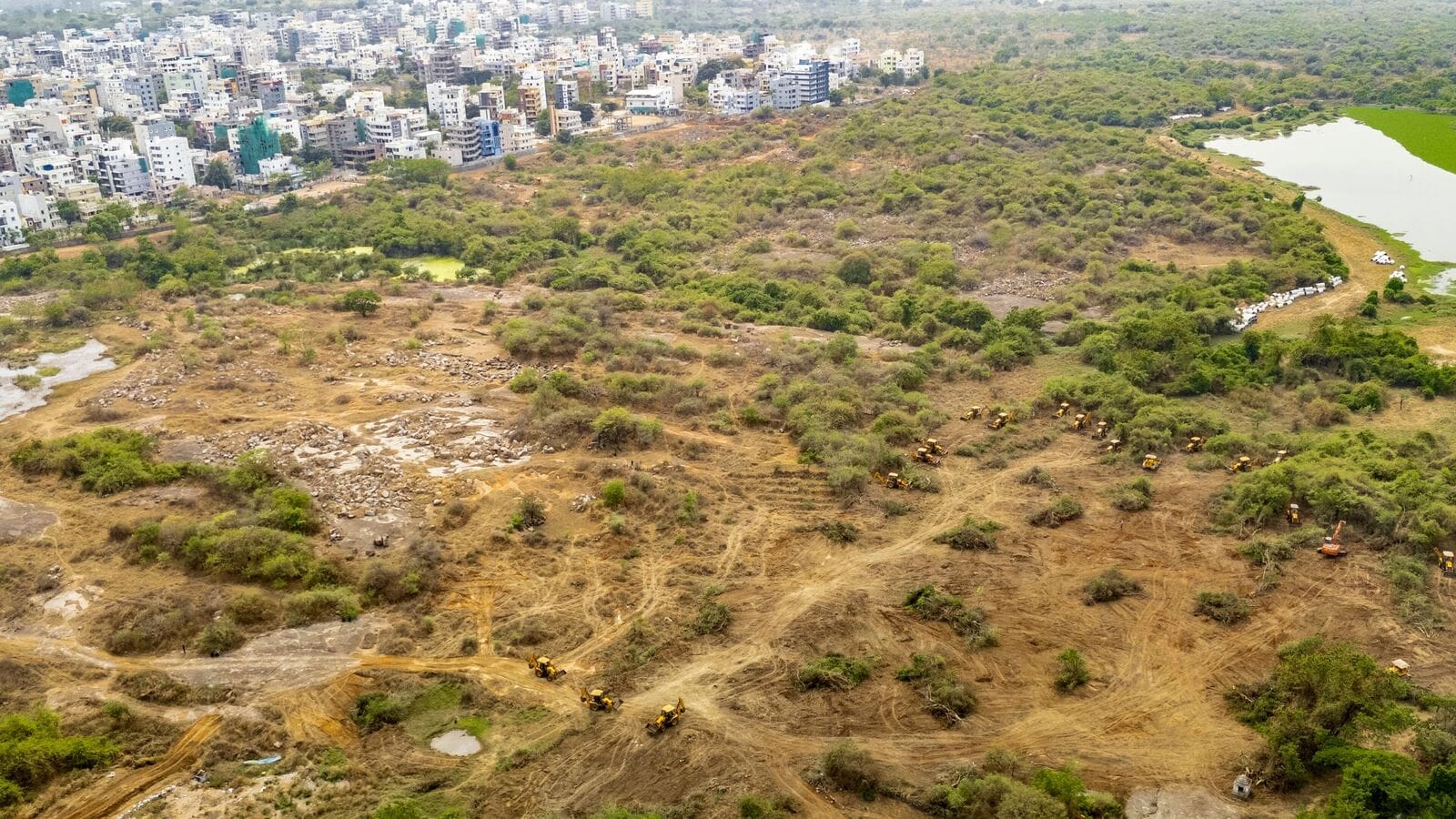 Push for ease of doing business in agroforestry: Centre issues model rules for tree felling on farmland Push for ease of doing business in agroforestry: Centre issues model rules for tree felling on farmland