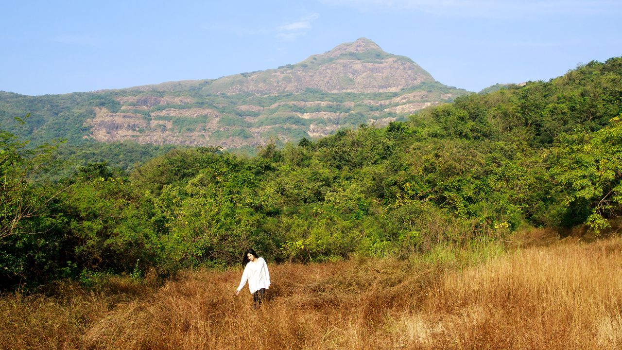 Dharana at Shillim is the go-to wellness retreat for nervous system repair Dharana at Shillim is the go-to wellness retreat for nervous system repair