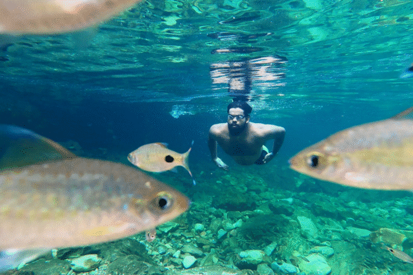 Watch | Want to learn how to swim in the sea? Chennai’s open water swimming instructors answer Watch | Want to learn how to swim in the sea? Chennai’s open water swimming instructors answer