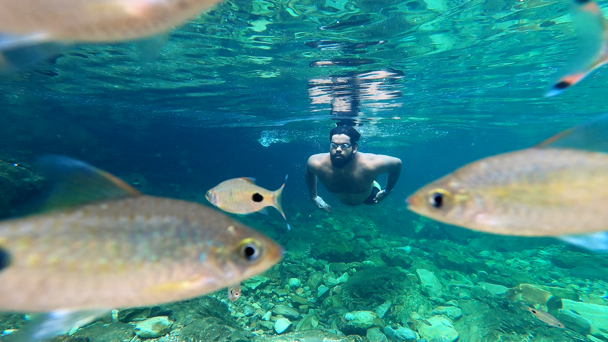 Watch | Want to learn how to swim in the sea? Chennai’s open water swimming instructors answer Watch | Want to learn how to swim in the sea? Chennai’s open water swimming instructors answer