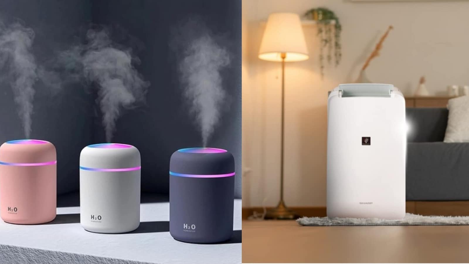 Humidifier vs Dehumidifier: Choosing the right one for comfortable summers based on features, requirements and weather Humidifier vs Dehumidifier: Choosing the right one for comfortable summers based on features, requirements and weather