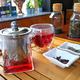 Kombucha can rebalance gut ecosystem in people with obesity: study Kombucha can rebalance gut ecosystem in people with obesity: study