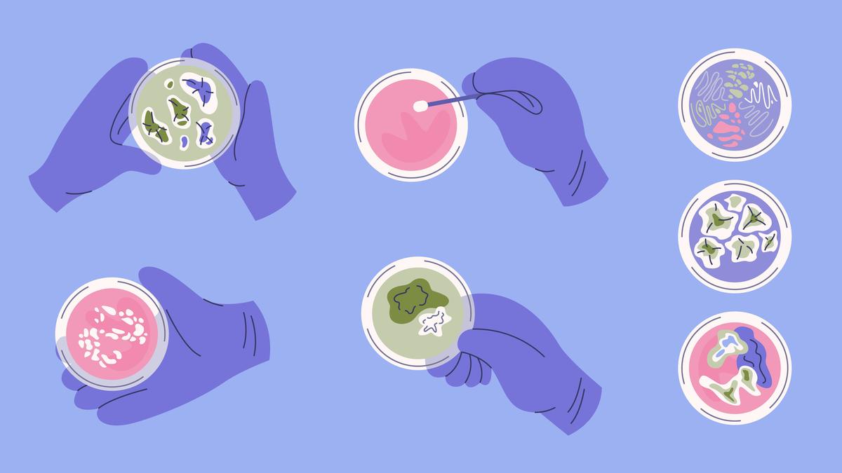 Widely used fungicide found to be driving C. tropicalis infections Widely used fungicide found to be driving C. tropicalis infections
