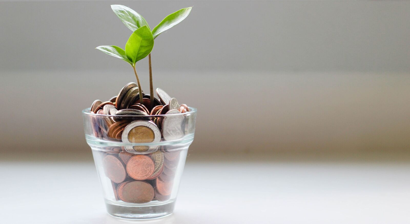 War or peace! These mutual fund categories help investors create long term wealth War or peace! These mutual fund categories help investors create long term wealth