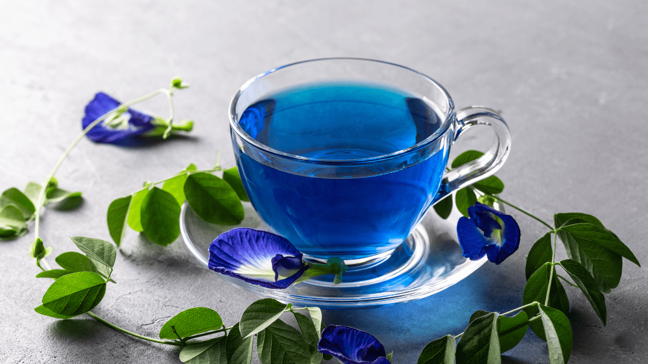 6 reasons why everyone should start their day with a sip of blue tea 6 reasons why everyone should start their day with a sip of blue tea