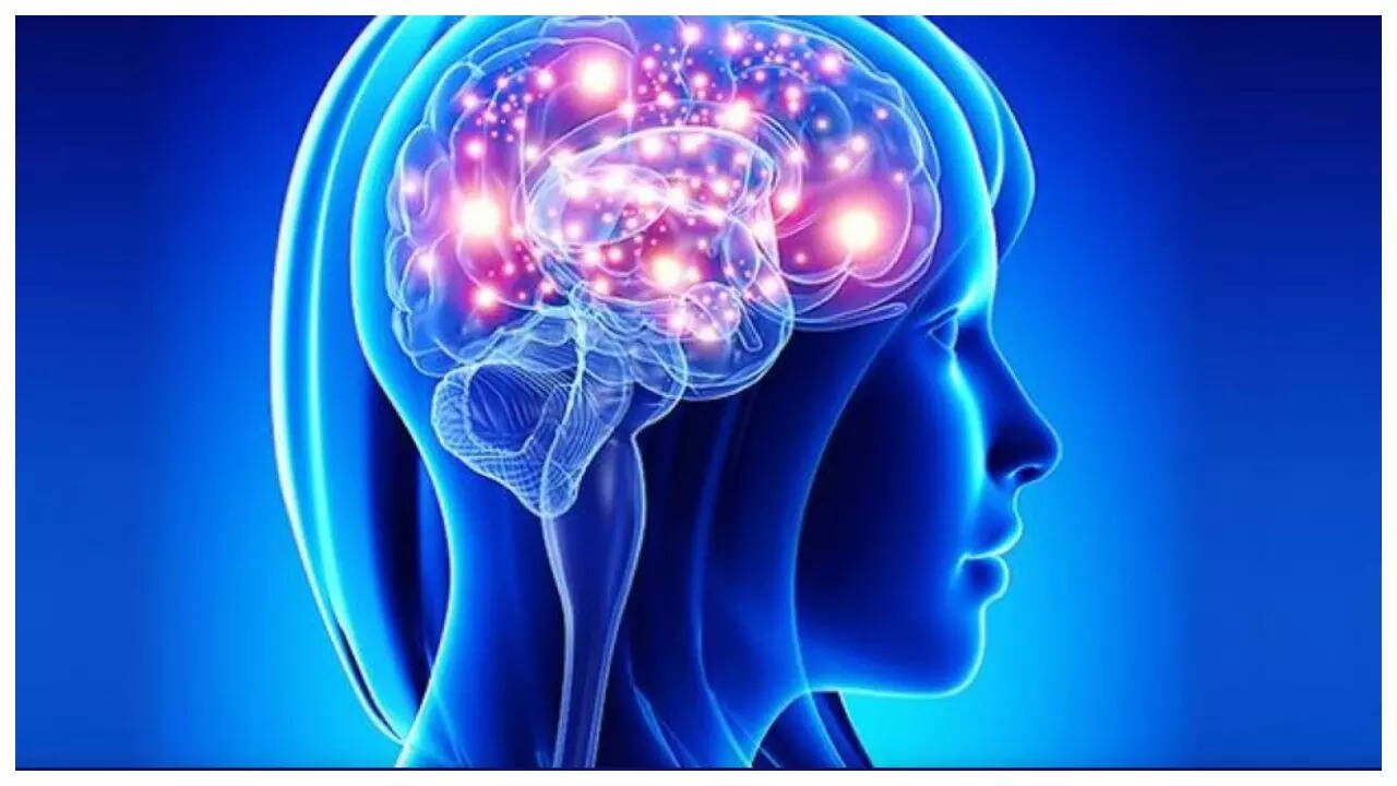 The 5 best brain improvement supplements The 5 best brain improvement supplements