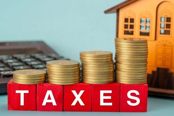 ITR 2025: How tax calculator can help you file your return with ease?