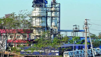 41 years on, Bhopal disaster waste incinerated | India News 41 years on, Bhopal disaster waste incinerated | India News