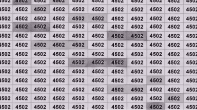 Optical Illusion: Spot the 4052 hidden amidst the 4502s |