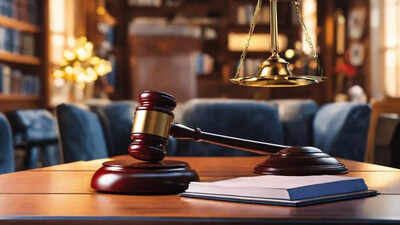 ‘Saying I love you isn’t sexual harassment’: Bombay HC draws the line; clears man in Pocso case | India News