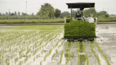 Total sown area this monsoon: Kharif sowing jumps 11.3% on strong monsoon; rice and pulses lead acreage surge Total sown area this monsoon: Kharif sowing jumps 11.3% on strong monsoon; rice and pulses lead acreage surge