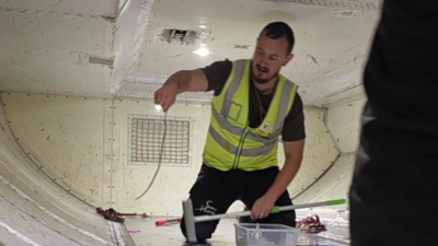 Melbourne to Brisbane: Snake found on board; Virgin Australia flight delayed by 2 hours