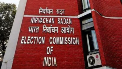 Bihar rolls revision could snatch votes of ‘tens of lakhs’, INDIA bloc tells EC | India News