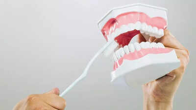 Think you’re brushing your teeth right? Dentists warn about this morning habit | Think you’re brushing your teeth right? Dentists warn about this morning habit |