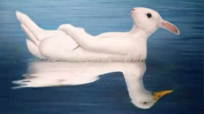 Optical illusion personality test: Duck or rabbit? What you see first reveals if you’re more charming or intellectual Optical illusion personality test: Duck or rabbit? What you see first reveals if you’re more charming or intellectual