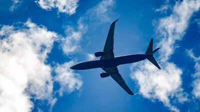 Airport alert: These everyday snacks are banned from carry-on bags on flights by TSA | Airport alert: These everyday snacks are banned from carry-on bags on flights by TSA |