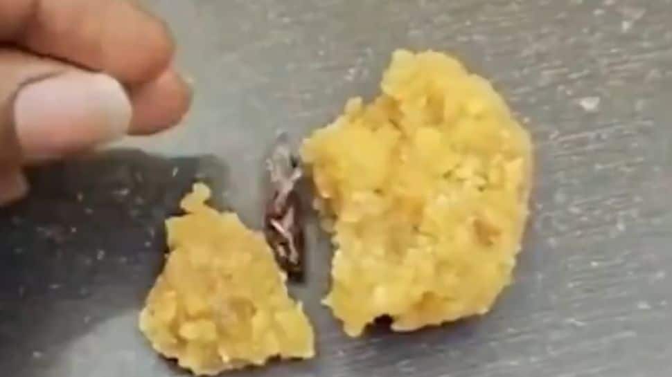 Cockroach In Prasad? Viral Video Sparks Outrage At Srisailam Temple | India News Cockroach In Prasad? Viral Video Sparks Outrage At Srisailam Temple | India News
