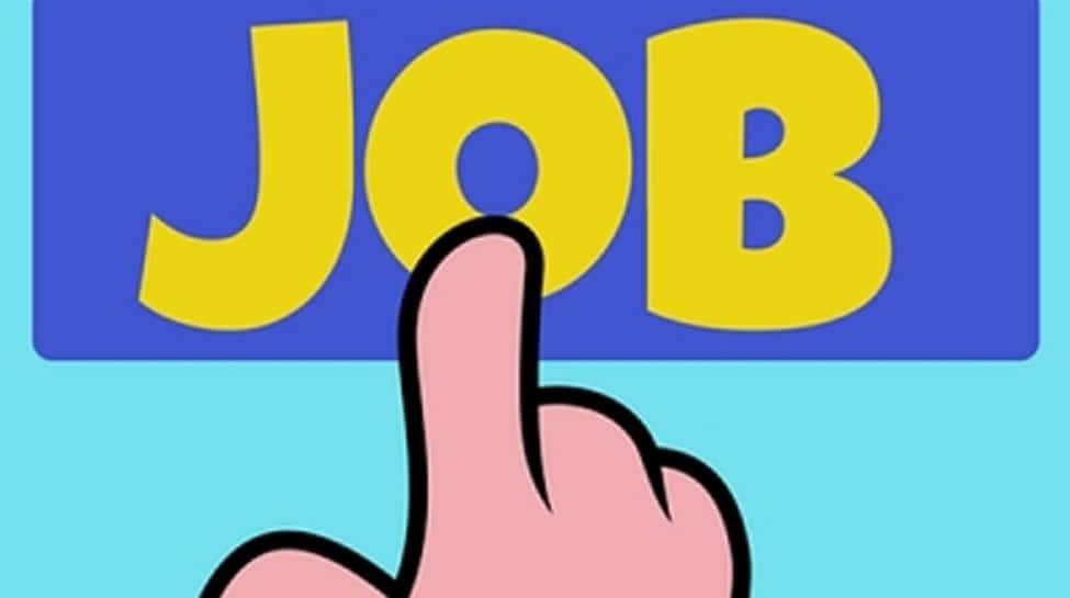 Fresher Hiring In India Rises 11% In June, Led By Non-tech Sectors, Tier-2 Cities: Report | Economy News