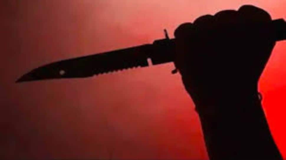 Telangana: Son Kills Father Over Lost Betting Money In Rangareddy | India News
