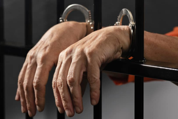 Two JeM OGW Arrested In Tral, Arms And Explosives Recovered | India News Two JeM OGW Arrested In Tral, Arms And Explosives Recovered | India News