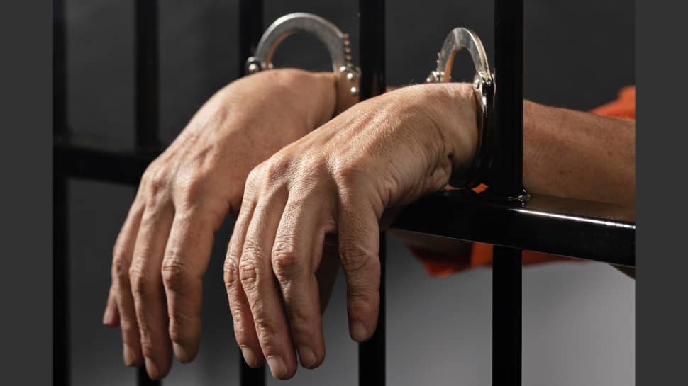 Two JeM OGW Arrested In Tral, Arms And Explosives Recovered | India News Two JeM OGW Arrested In Tral, Arms And Explosives Recovered | India News