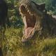‘Jurassic World Rebirth’ bites off 8 million at the global box office ‘Jurassic World Rebirth’ bites off 8 million at the global box office