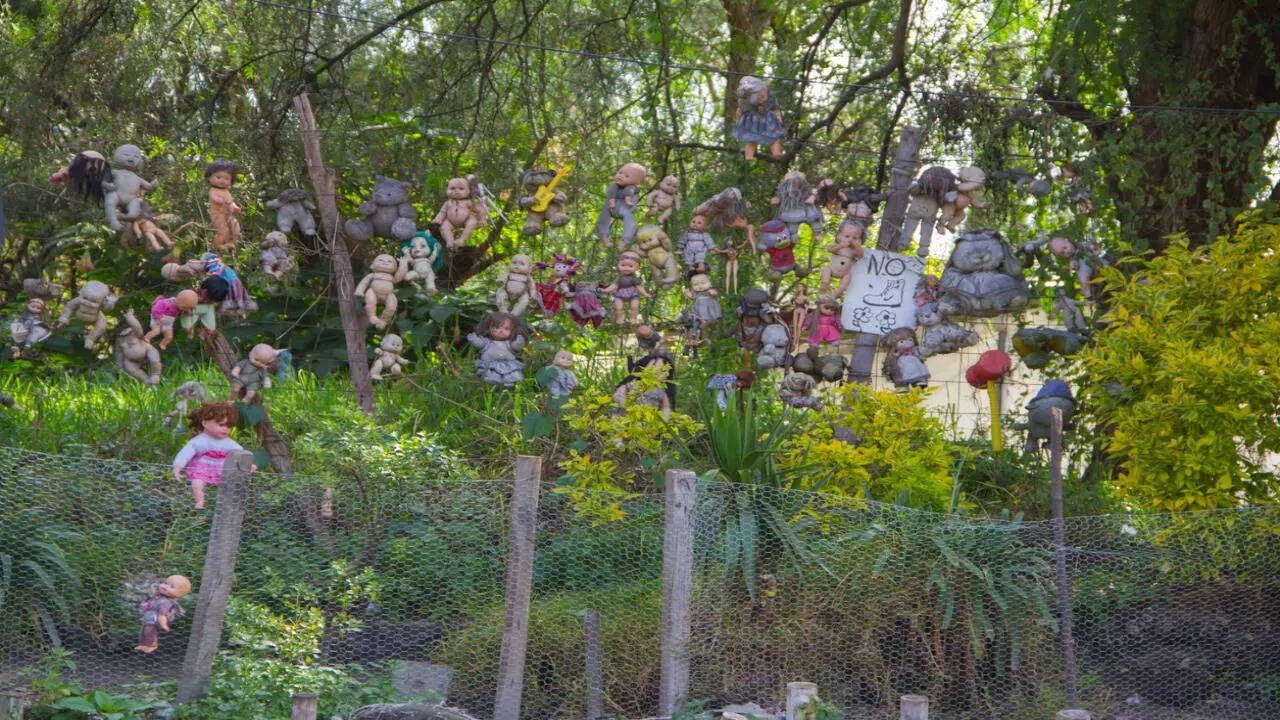 What’s the truth behind the decaying dolls that hang from trees