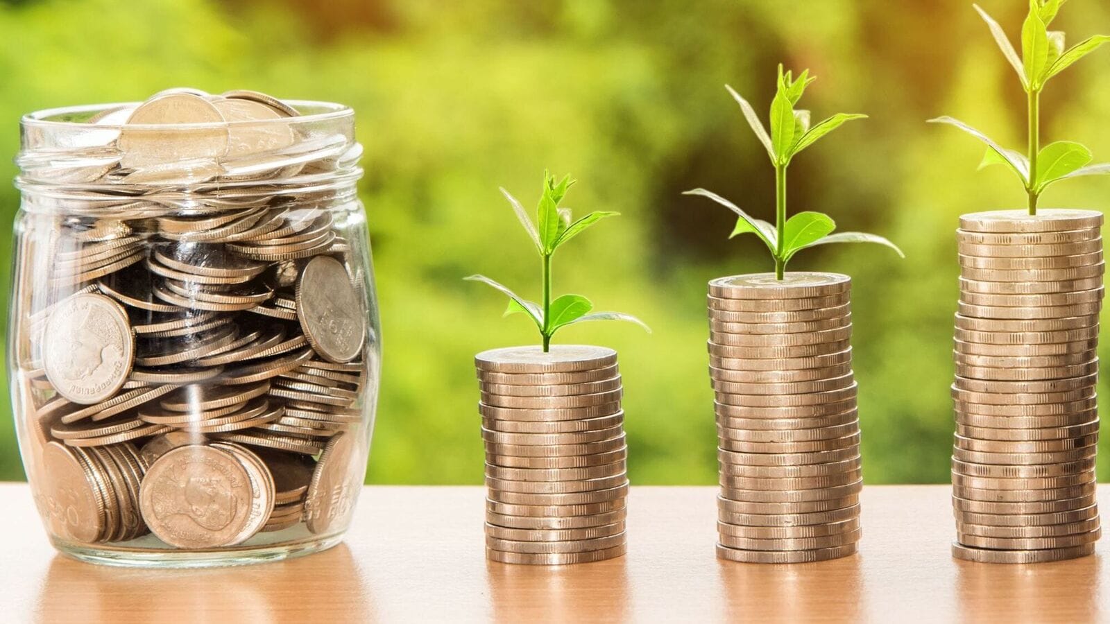 Balanced fund or equity fund? Which is better during the bull run?